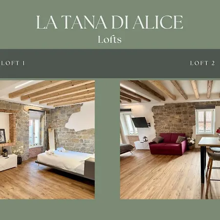Apartment La Tana Di Alice - Lofts *